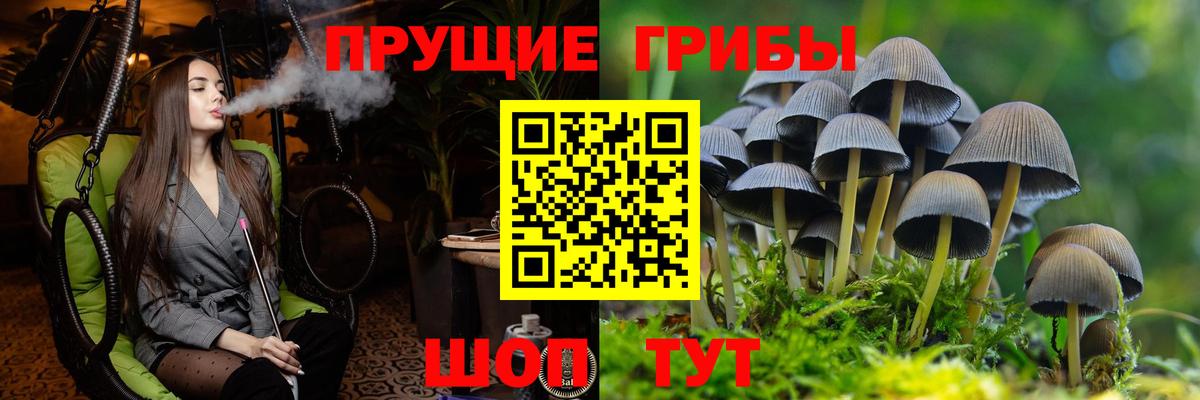 Галлюциногенные грибы ЛСД Сатка